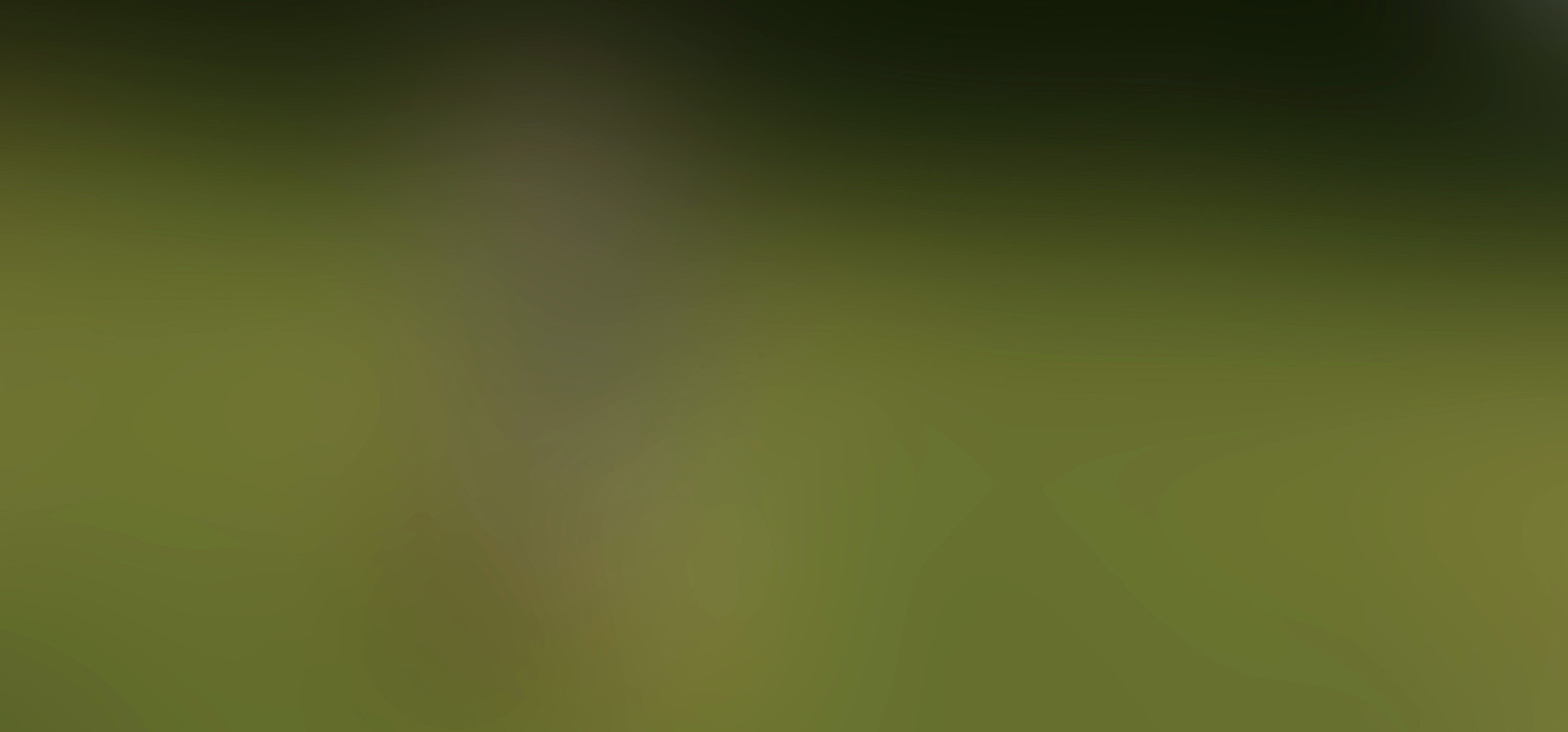 Kita im Blick Hintergrund